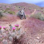 Image of a bike in on the Jem Trail.