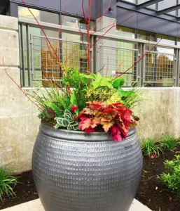Image of container garden.
