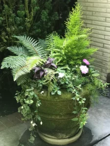 Image of container garden.